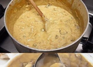 ŠVARCVALDSKI LOVAC SOS SA PEČURKAMA ŠVARCVALDSKI LOVAC SOS SA PEČURKAMA - featured image