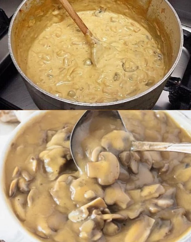 ŠVARCVALDSKI LOVAC SOS SA PEČURKAMA - featured image ŠVARCVALDSKI LOVAC SOS SA PEČURKAMA - featured image