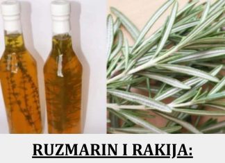RUZMARIN I RAKIJA: Tretman za bolne vene, cirkulaciju i grčeve u nogama! RUZMARIN I RAKIJA: Tretman za bolne vene, cirkulaciju i grčeve u nogama! - featured image