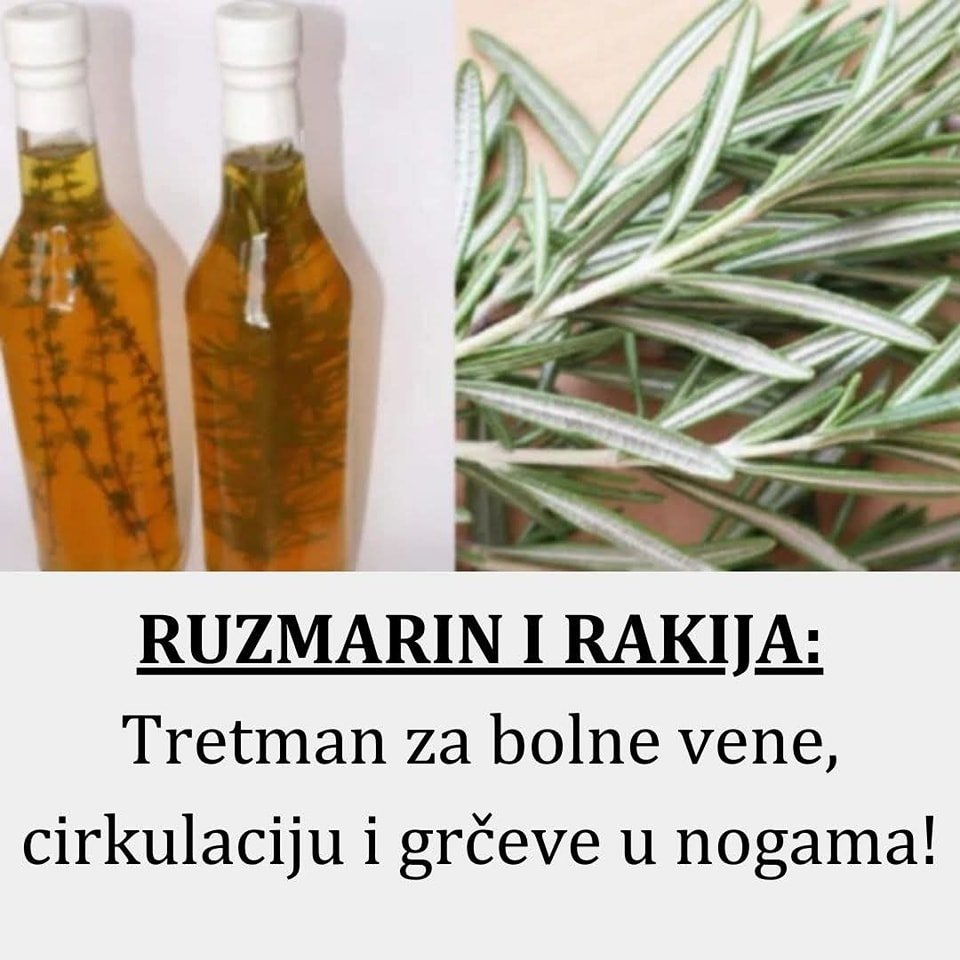 RUZMARIN I RAKIJA: Tretman za bolne vene, cirkulaciju i grčeve u nogama! - featured image