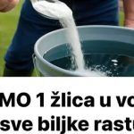 SAMO 1 žlica u vodu i sve biljke rastu dvostruko brže SAMO 1 žlica u vodu i sve biljke rastu dvostruko brže - featured image