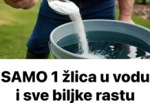 SAMO 1 žlica u vodu i sve biljke rastu dvostruko brže SAMO 1 žlica u vodu i sve biljke rastu dvostruko brže - featured image