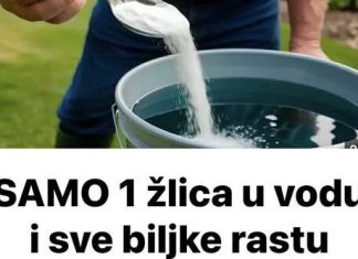 SAMO 1 žlica u vodu i sve biljke rastu dvostruko brže SAMO 1 žlica u vodu i sve biljke rastu dvostruko brže - featured image