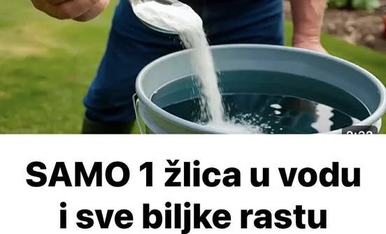 SAMO 1 žlica u vodu i sve biljke rastu dvostruko brže - featured image SAMO 1 žlica u vodu i sve biljke rastu dvostruko brže - featured image